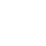 damiani