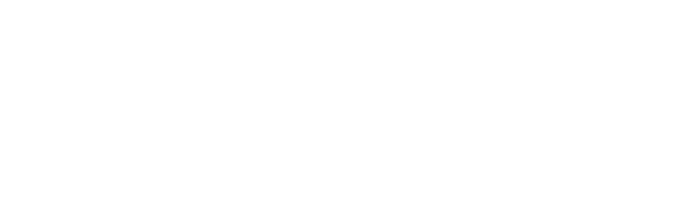 logo NORSE